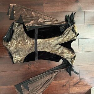 Gladiator dance/Halloween costume. Size PA